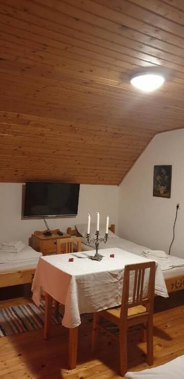 Фото номера Семейный двухместный номер с 1 кроватью Гостевой дом Pensiunea Sachsenhof г. Băgaciu 4